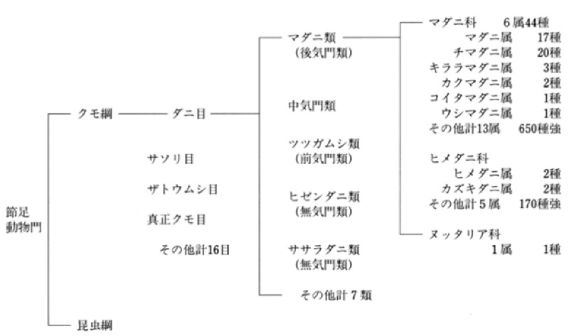 紫斑 病 電撃