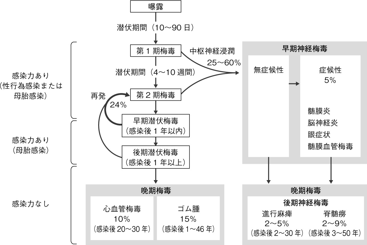 梅毒 江戸 時代